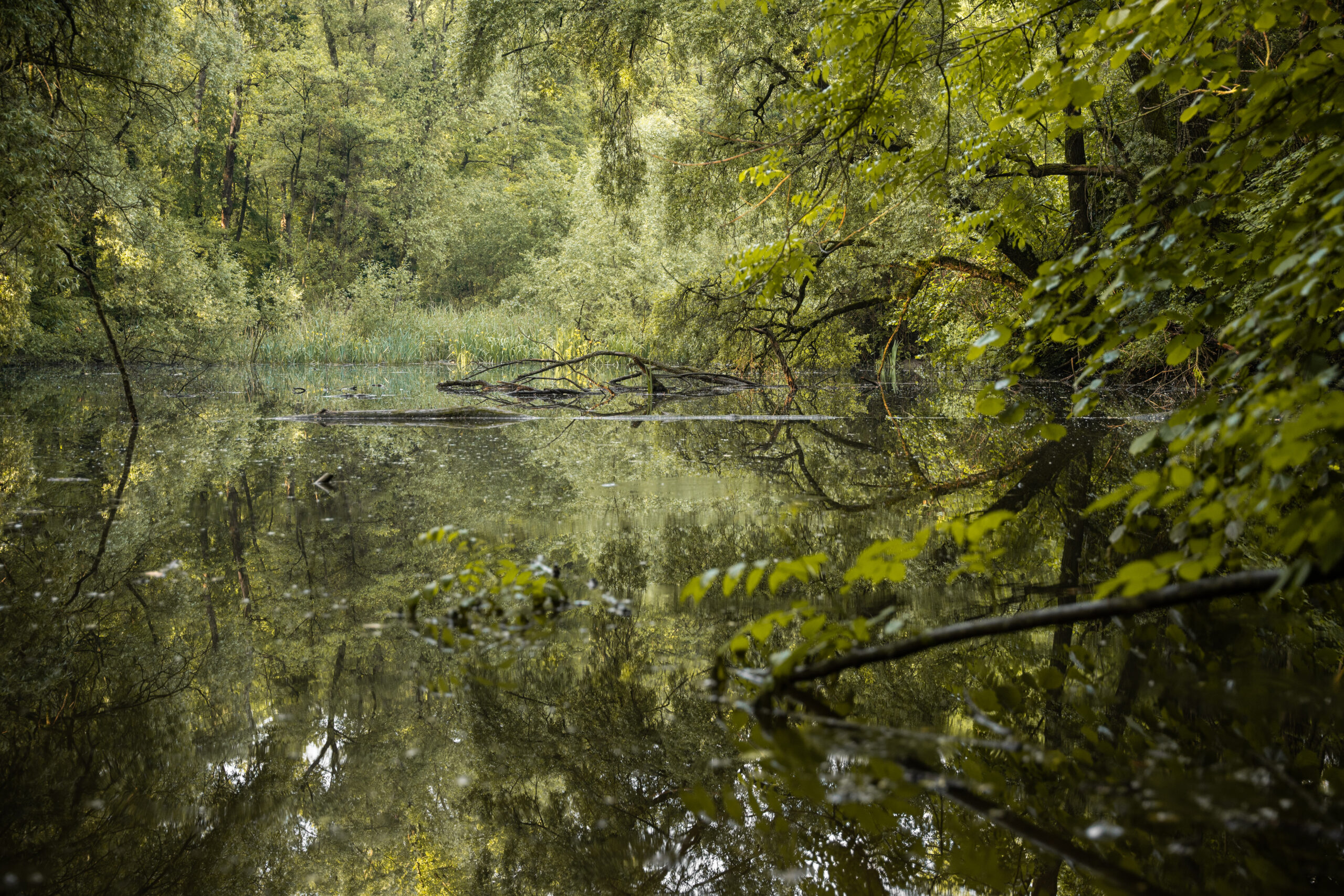 02-Flussauen-StefanieWürsch